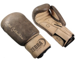 Boxing glove